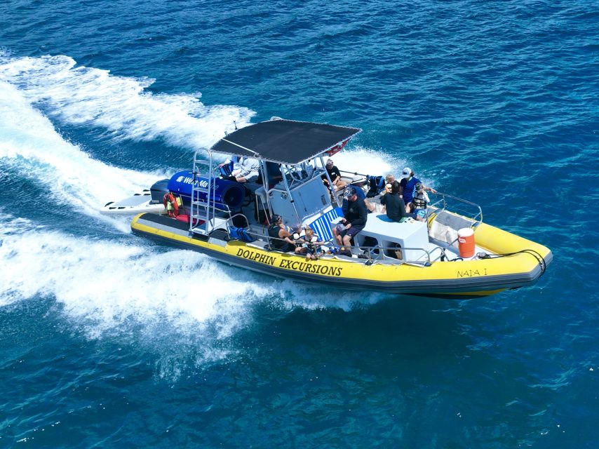 Oahu: Dolphin Swim and Turtle Snorkel Excursion in Waianae - What the small boat changes