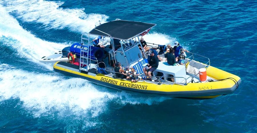 Oahu: Dolphin Swim and Turtle Snorkel Excursion in Waianae - The long ride from Waikiki to Waianae