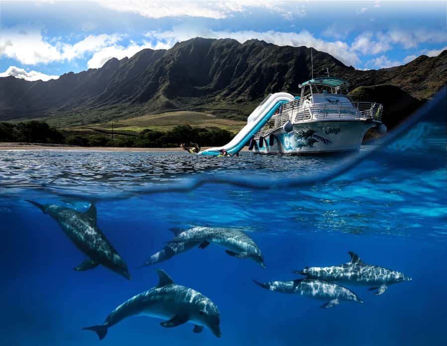 Oahu: Dolphin Watching & Turtle Snorkeling with Waterslide - One Hour Watching Spinner Dolphins