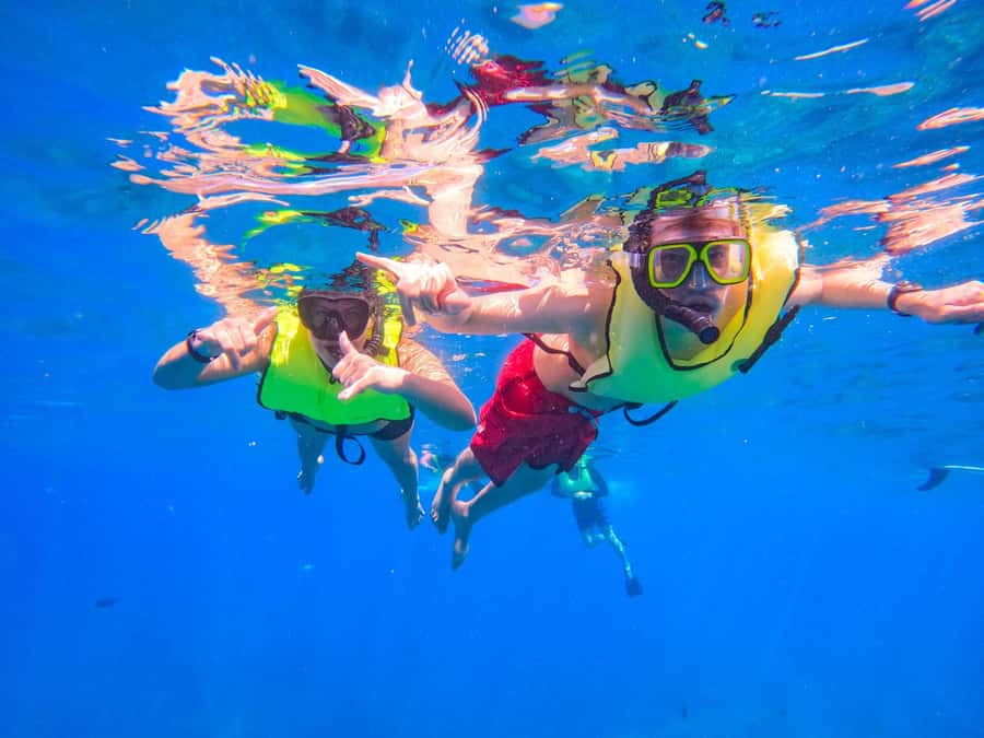 Oahu: Dolphin Watching & Turtle Snorkeling with Waterslide - Lunch With Hula and Ocean Views
