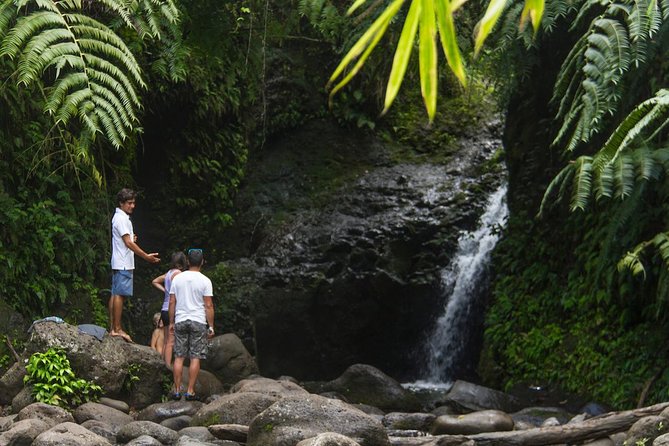 Oahu friendly hiking experience - A private Oahu hike built around your day