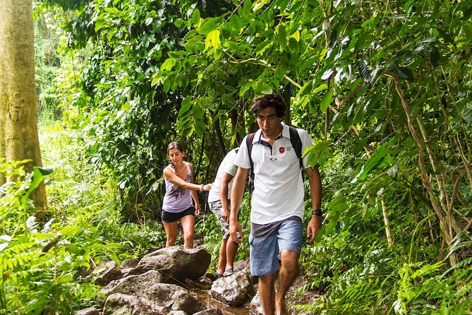 Oahu friendly hiking experience - Manoa Falls, a lush and straightforward waterfall walk