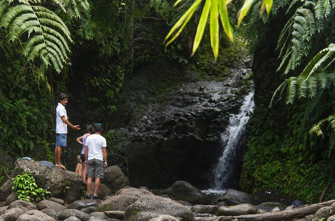Oahu friendly hiking experience - Maunawili Falls, another waterfall option