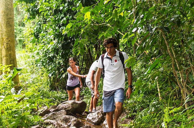 Oahu friendly hiking experience - Kuliʻouʻou Ridge for a rainforest setting