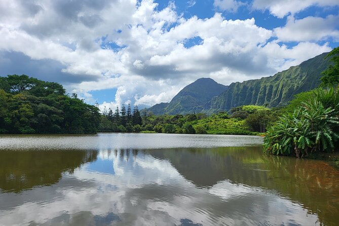 Oahu Fun Circle Island Tour With Pickup - An hour at Puaʻena Point with turtle potential