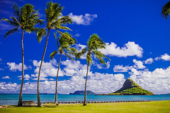 Oahu Grand Circle Island and Haleiwa Tour: 9-Hr Deluxe Experience - Tropical Farms adds coffee and macadamia samples