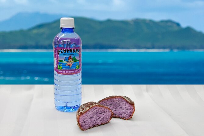Oahu Grand Circle Island and Haleiwa Tour: 9-Hr Deluxe Experience - Haleiwa gives you the longest break