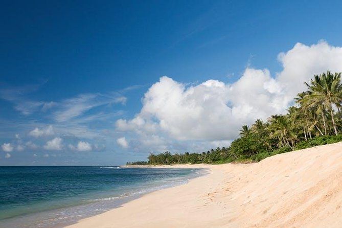 Oahu Grand Circle Island: Discover the Heart & Soul of Hawaii - Kualoa Ranch, lunch, and the limits of the schedule