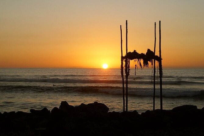 Oahu Grand Circle Island Experience from Waikiki - A full Oahu loop for $99