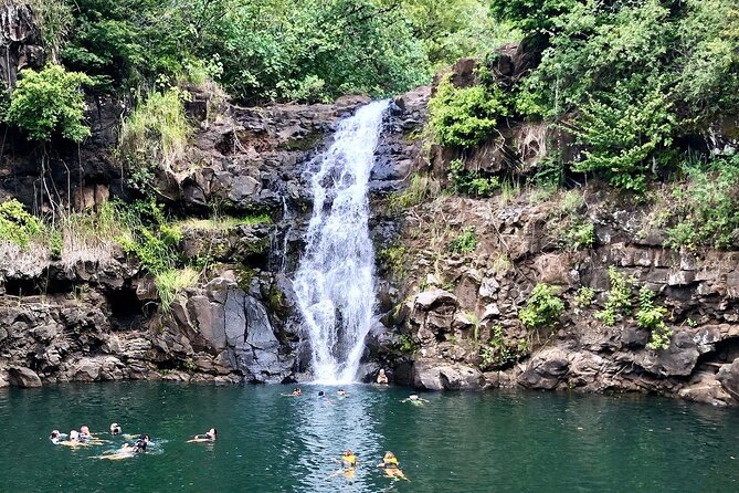 OAHU GRAND CIRCLE Waimea Waterfall, Turtle Beach, North Shore. - Key points to know before booking