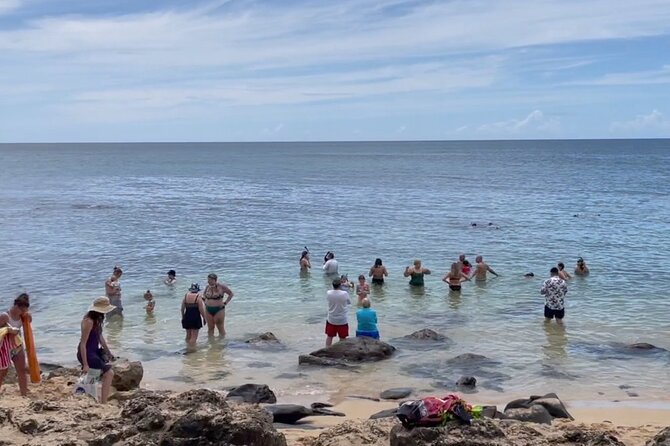 Oahu Guided Circle Island Tour, Swim w/ Turtles, Dole, Blowhole - Diamond Head and Oahu’s volcanic south shore