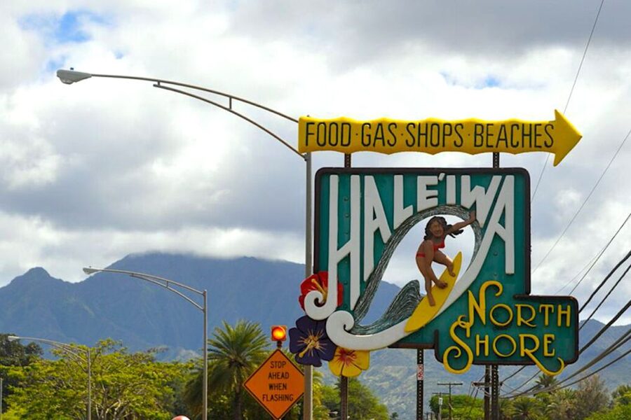 Oahu: Guided Tour of North Shore and Waimea Botanical Garden - Waimea Botanical Garden and the waterfall walk