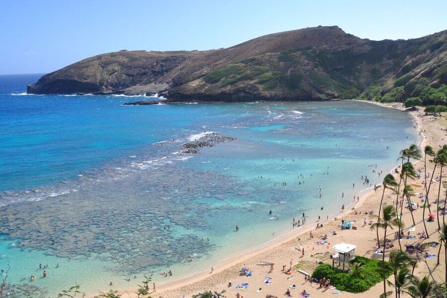 Oahu: Guided Tour of North Shore and Waimea Botanical Garden - Local flavors: shrimp, fruit, shaved ice, and Dole Whip