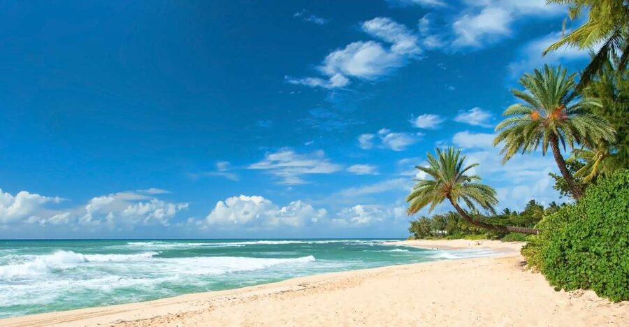 Oahu: Guided Tour of North Shore and Waimea Botanical Garden - What the $145 price really covers