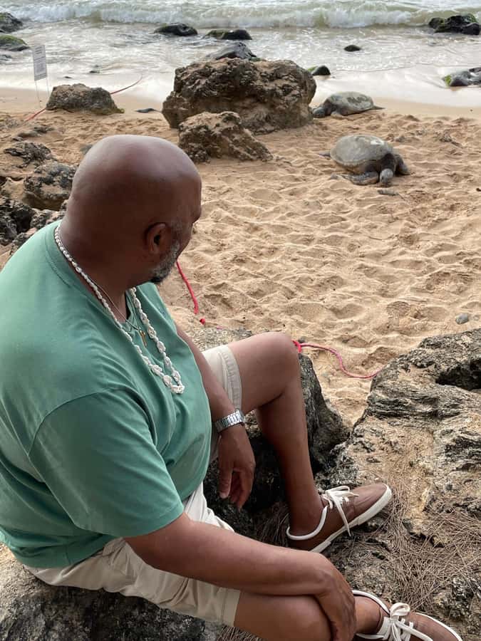 Oahu: Half-Day North Shore Scenic Tour - Sunset Beach offers a quick look at Oahu’s surf coast
