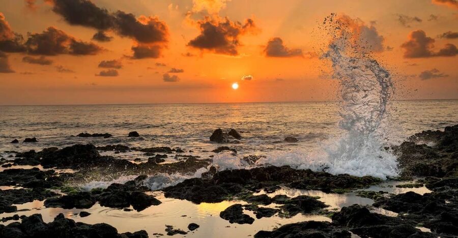 Oahu: Half-Day Sunrise Semi-private Tour from Waikiki - Key points to know before booking