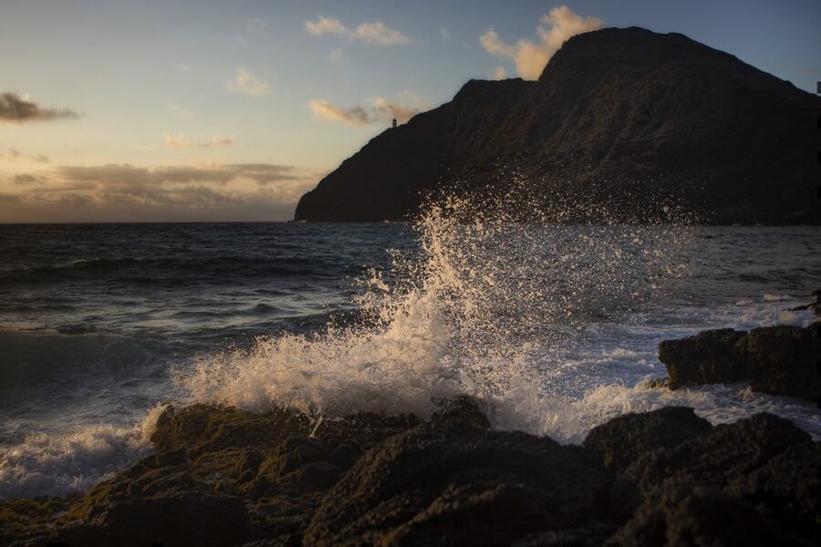 Oahu: Half-Day Sunrise Semi-private Tour from Waikiki - A pre-dawn start from Waikiki