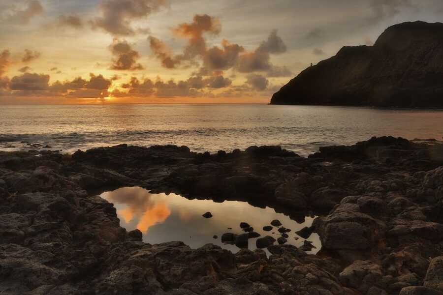 Oahu: Half-Day Sunrise Semi-private Tour from Waikiki - The Pali Lookout and Oahu’s mountain interior