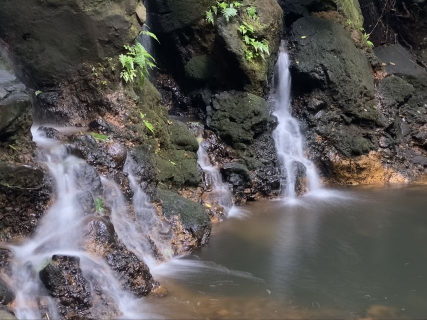 Oahu: Half-Day Sunrise Semi-private Tour from Waikiki - The booking concern you should not ignore