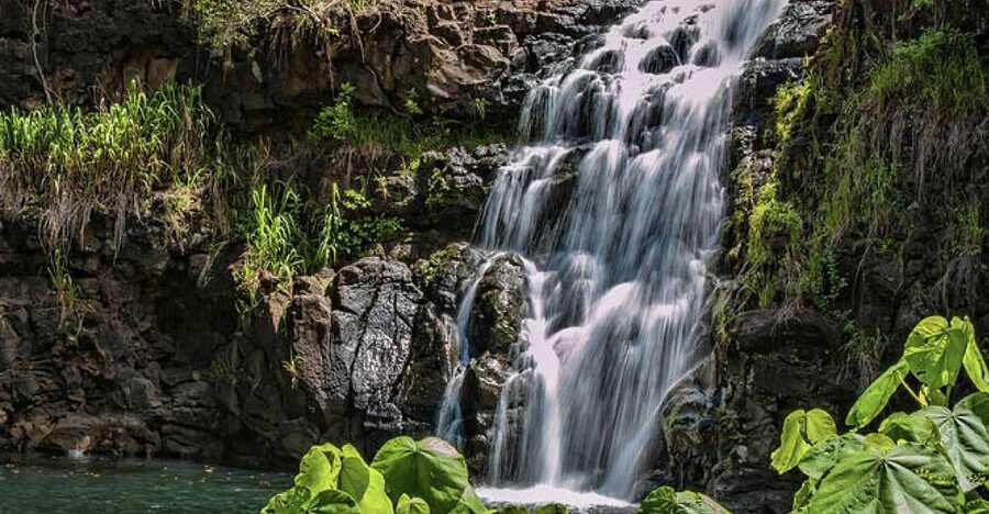Oahu Hidden Gems & Waimea Botanical Garden/Waterfall tour - Key points to know before booking