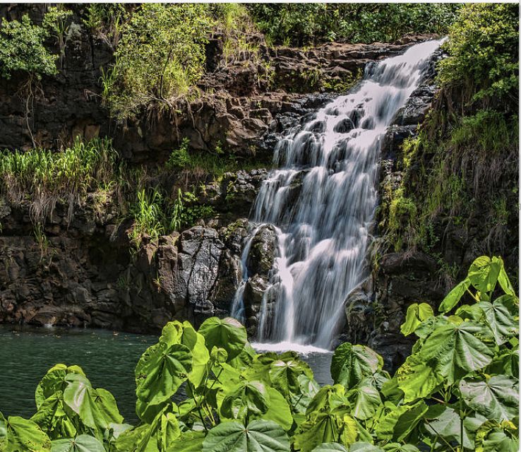 Oahu Hidden Gems & Waimea Botanical Garden/Waterfall tour - One long day beyond Waikiki