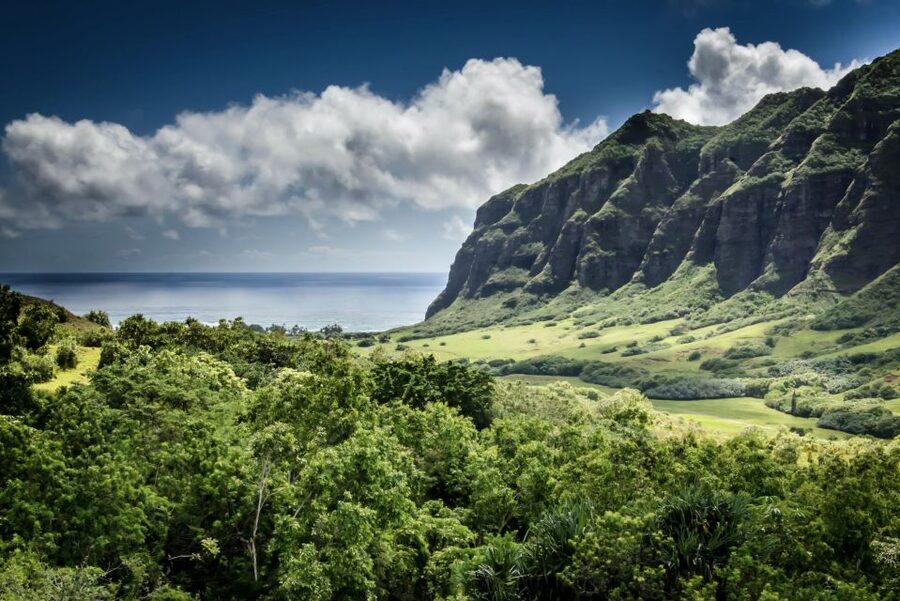 Oahu Hidden Gems & Waimea Botanical Garden/Waterfall tour - Waimea Valley is the heart of the tour