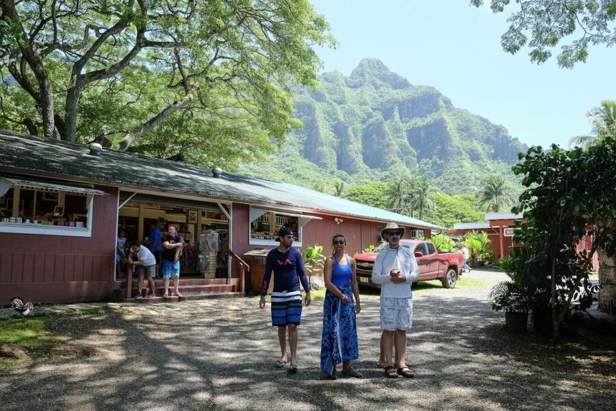 Oahu Hidden Gems & Waimea Botanical Garden/Waterfall tour - Pali Lookout brings history and mountain views together