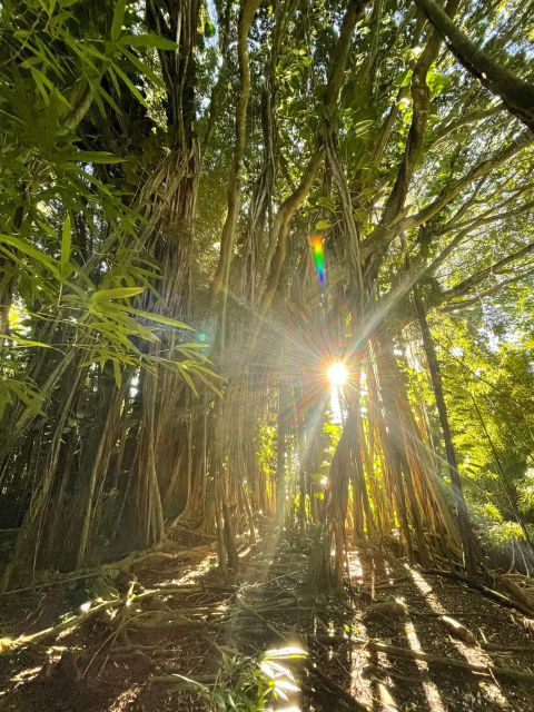 Oahu: Hidden Hawaii Waterfall Hike and Beach Tour - Lulumahu Falls brings the real adventure