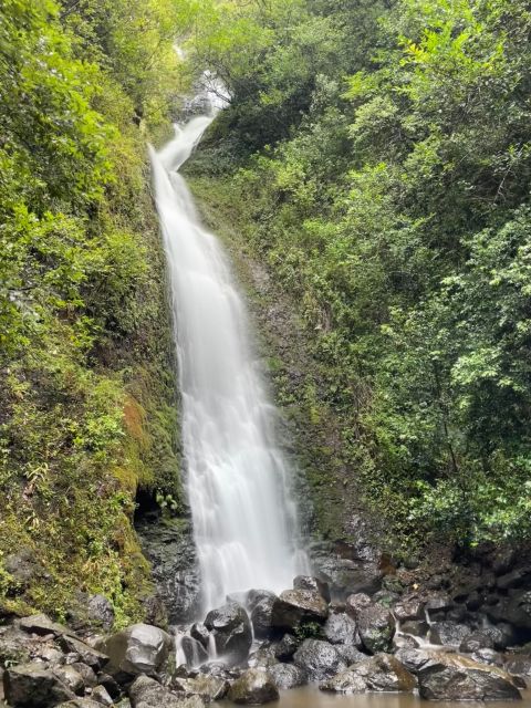 Oahu: Hidden Hawaii Waterfall Hike and Beach Tour - Pickup from Waikiki keeps the morning simple