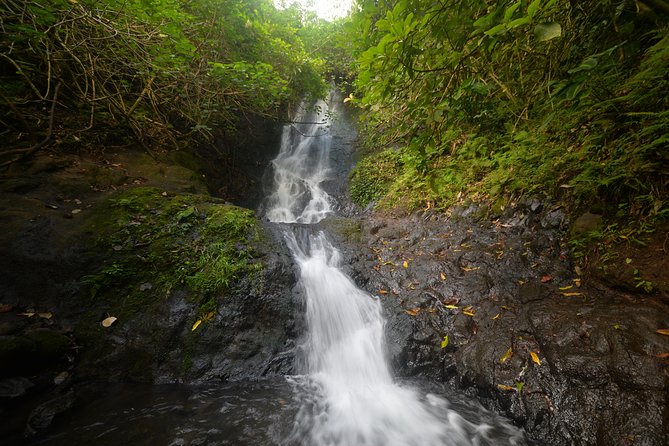 Oahu Hidden Waterfall Hike: A Tropical Paradise Adventure - Key points before you reserve