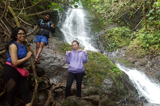 Oahu Hidden Waterfall Hike: A Tropical Paradise Adventure - Why the guide matters more than the mileage