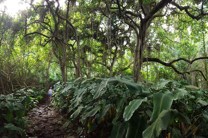 Oahu Hidden Waterfall Hike: A Tropical Paradise Adventure - Pickup, equipment, and what to pack