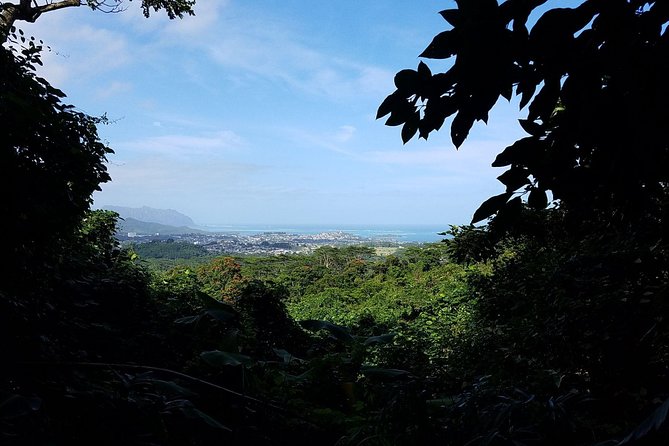 Oahu Hidden Waterfall Hike: A Tropical Paradise Adventure - Is $92.31 a fair price?