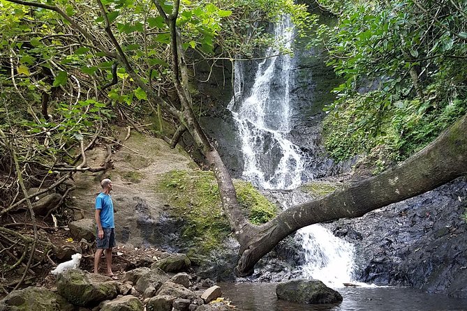 Oahu Hidden Waterfall Hike: A Tropical Paradise Adventure - Reaching Likeke Falls through the forest