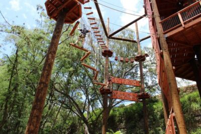 High Ropes Adventure, Climbing, & Rappel Experience