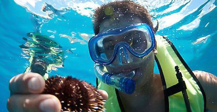Oahu: Hilton Hawaiian Village Snorkel Tour - Key points to know before you sail