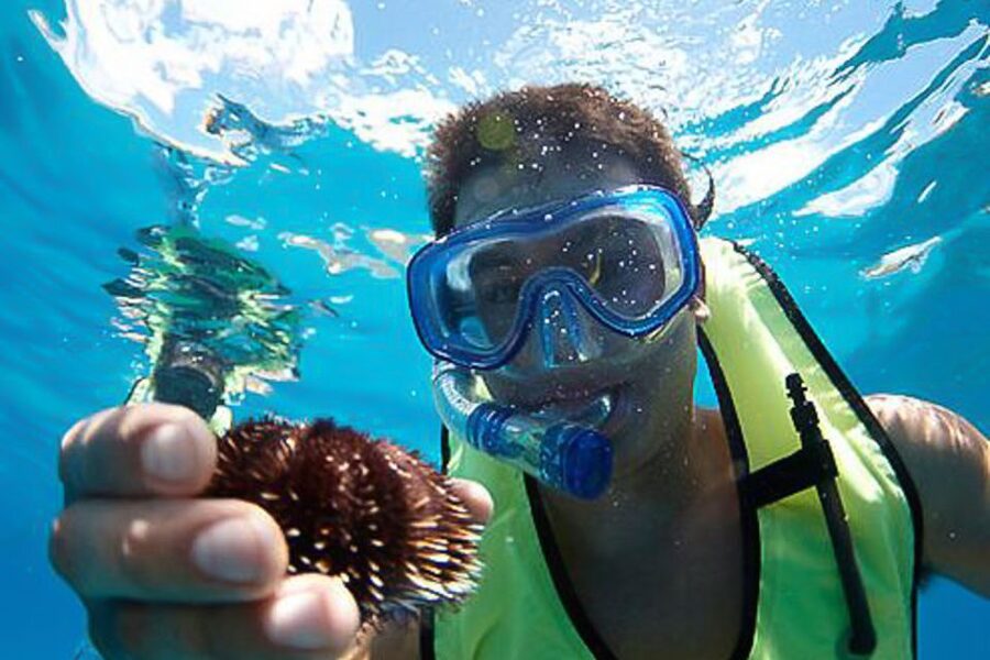Oahu: Hilton Hawaiian Village Snorkel Tour - Leaving Waikiki for the Spirit of Aloha