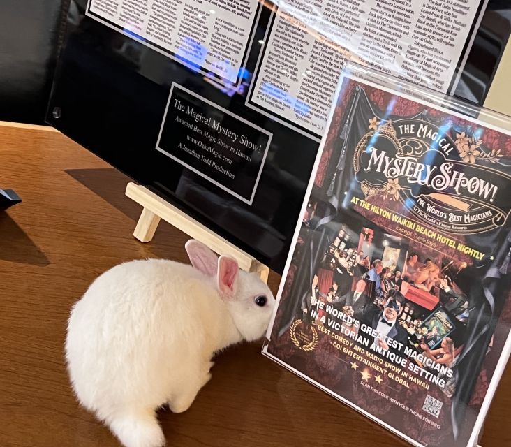 Oahu: Hilton Waikiki Beach Hotel Magical Mystery Show - Is The Magical Mystery Show worth booking?