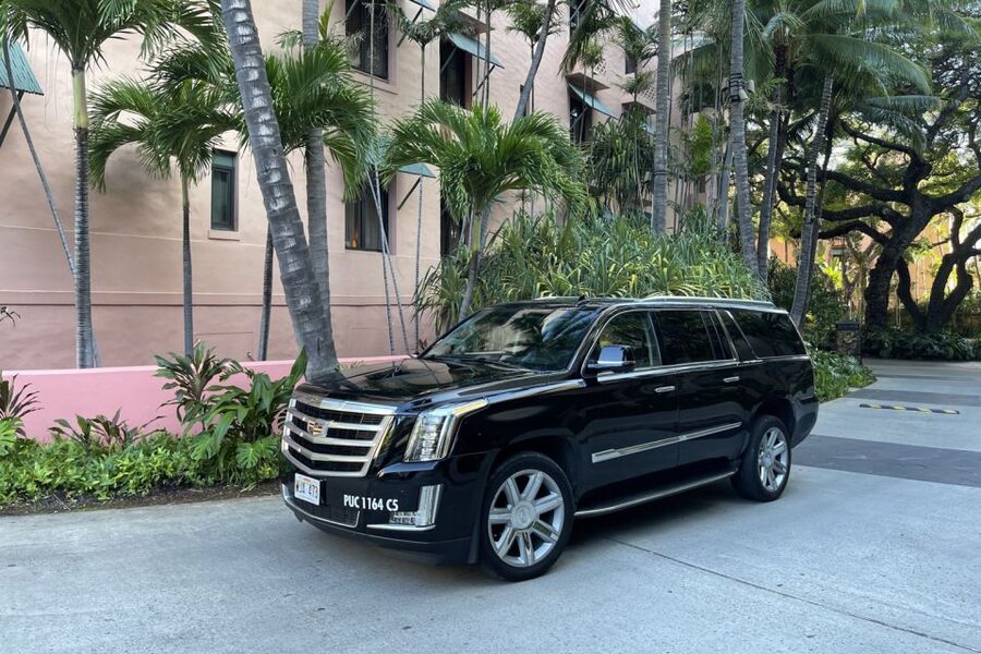 Oahu: Honolulu Airport Private by Escalade SUV - What happens after you land at Honolulu Airport