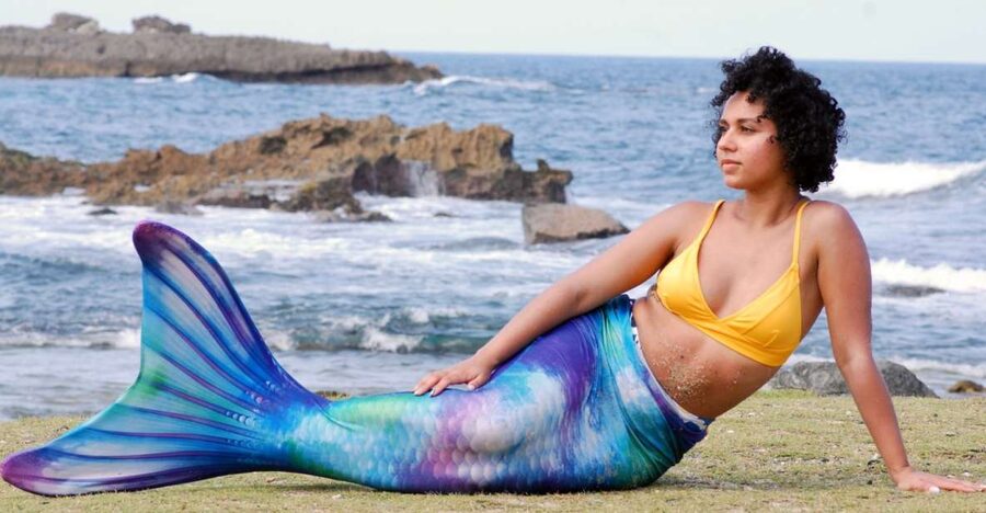 Oahu: Honolulu Mermaid Snorkel Adventure with Videos - Forty Minutes of Snorkeling and Underwater Clips