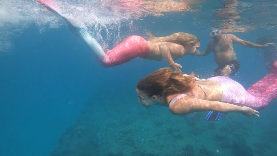 Oahu: Honolulu Mermaid Snorkel Adventure with Videos - Safety, Comfort, and Group Size