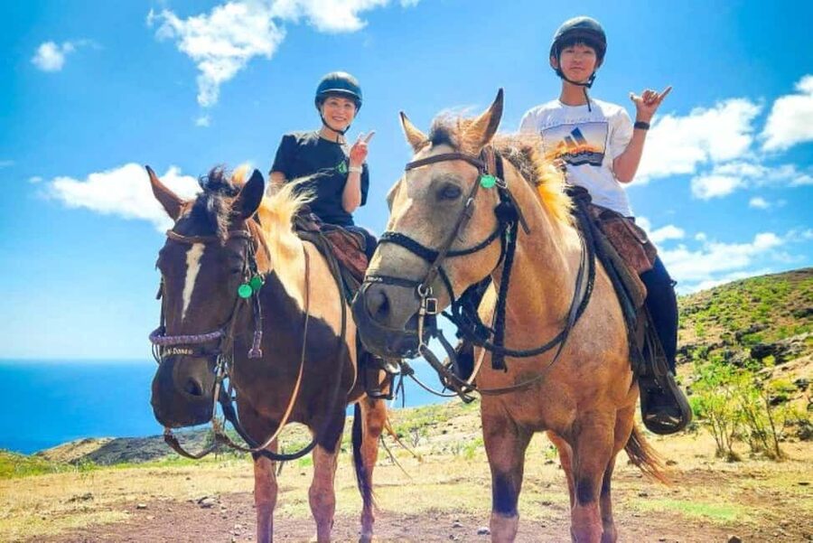 Oahu: Horseback Riding Sunshine or Sunset Tour - Key points to know before you book