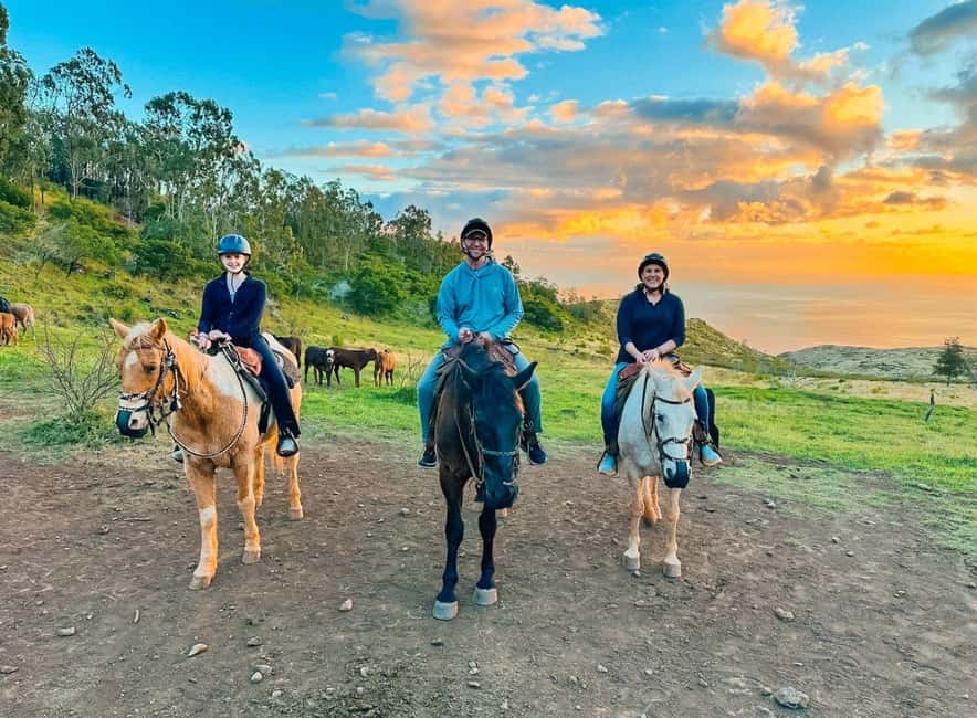 Oahu: Horseback Riding Sunshine or Sunset Tour - Getting comfortable on the horse