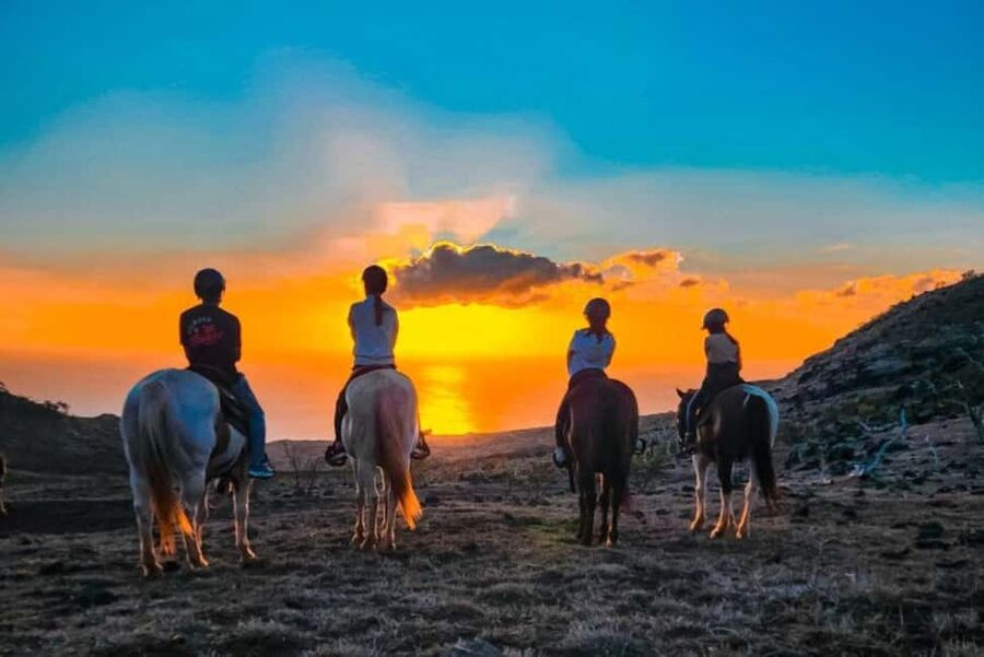 Oahu: Horseback Riding Sunshine or Sunset Tour - What happens at Pālehua Trail Rides