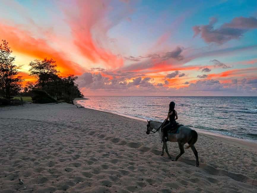 Oahu: Horseback Riding Tour on the North Shore - Riding a working polo pony