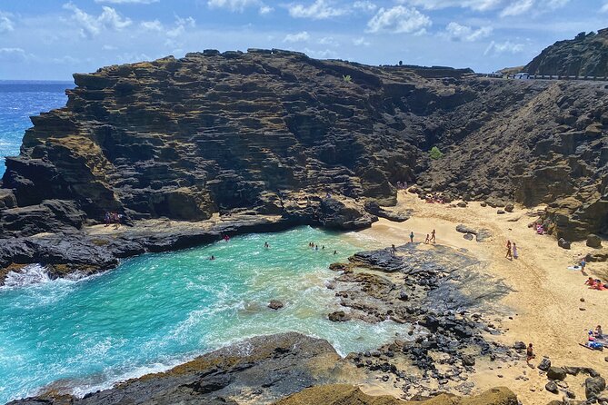 Oahu Island Experience feat the North Shore (Small Group Tour) - Tropical Farms: macadamia samples with a buying decision