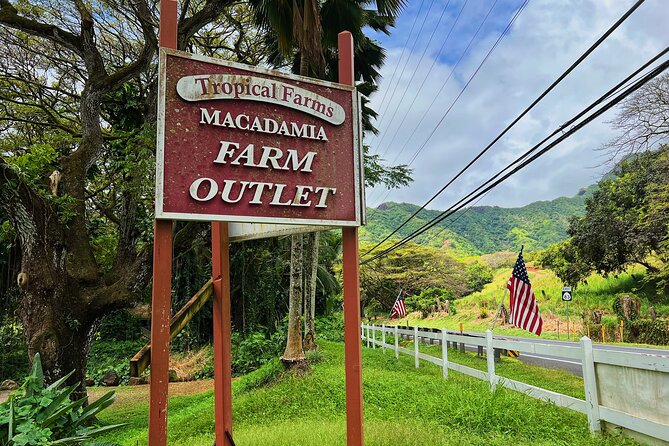 Oahu Island Experience feat the North Shore (Small Group Tour) - Dole Plantation: pineapple, shopping, and a useful warning