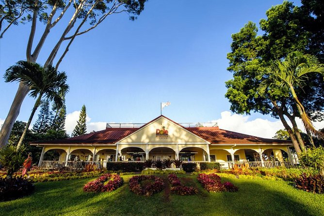 Oahu Island Full-Day Sightseeing Tour - Why this Oahu tour works for first-time visitors