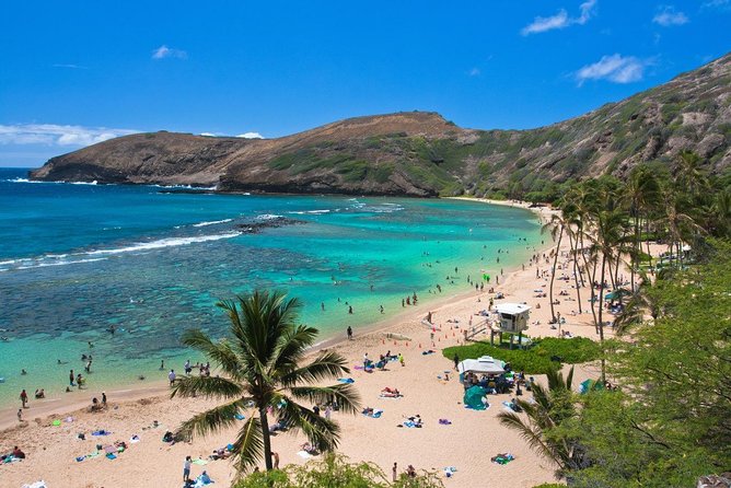 Oahu Island Full-Day Sightseeing Tour - Kahuku garlic shrimp and the cost of lunch