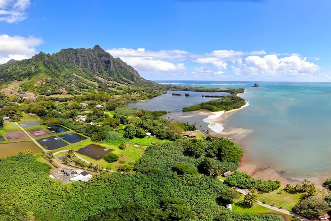 Oahu Island Full-Day Sightseeing Tour - Haleiwa Town Center and the North Shore